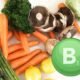 WellHealthOrganic Vitamin B12