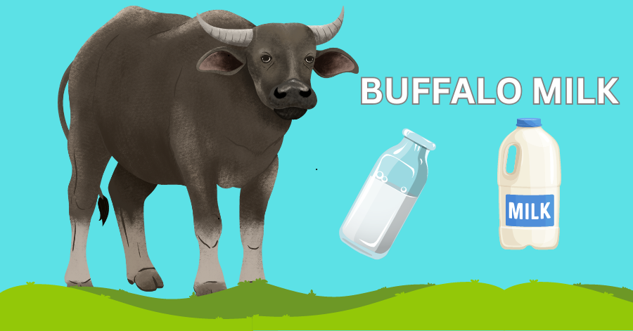 Wellhealthorganic Buffalo Milk Tag