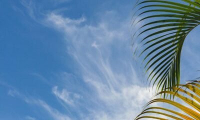 weather
